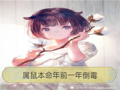 属鼠本命年前一年倒霉 有什么说法_96属鼠本命年能结婚吗 有什么说法